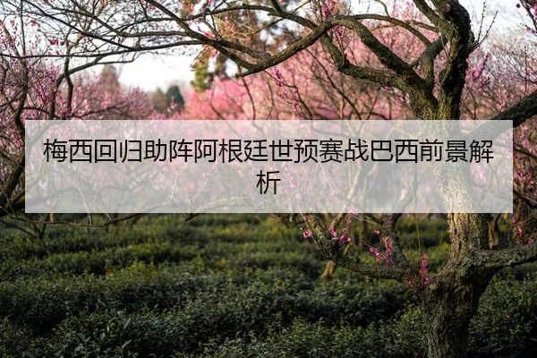 梅西回归助阵阿根廷世预赛战巴西前景解析