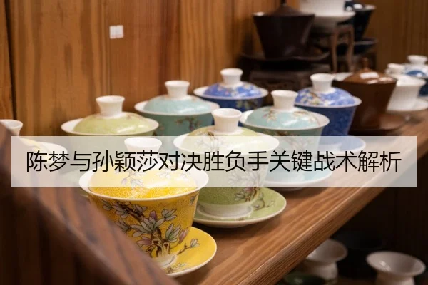 陈梦与孙颖莎对决胜负手关键战术解析 - Mile